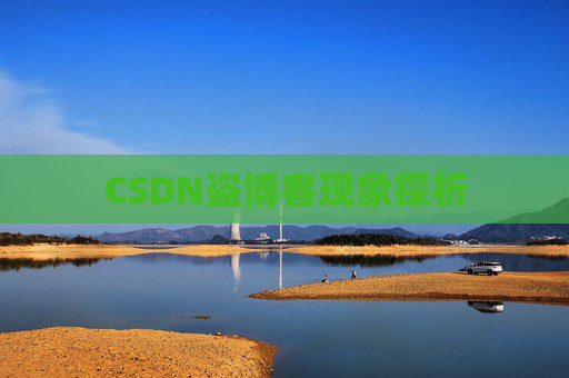 CSDN盗博客现象探析